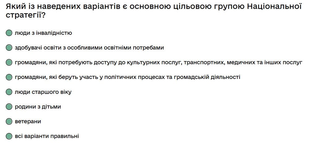 Який із наведених варіантів є основною цільовою групою Національної стратегії?